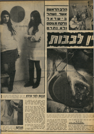 העולם הזה - גליון 1632 - 11 בדצמבר 1968 - עמוד 17 | הדב הראשון אשר נשתד שרא ד נלקח מ\וסם ולא : 1תר יום מיוחד במינו. הוא |£נת השתלת־לב שבוצ־ ,1מגופו של אדם שמת באופן קליני, כשהוא נמצא בידי המנתחים המעבירים אותו
