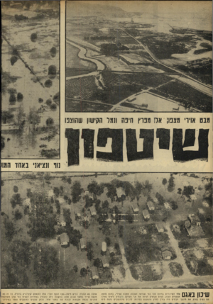 העולם הזה - גליון 1639 - 29 בינואר 1969 - עמוד 16 | גנט אוידי מצפו; אל! גפוץ היפה ונגד הקישון שהוצפו שינון באגם אזזד השיכונים בדרום עכו כפי שנראה השבוע ממבט אווירי, בתום סופת הגשמים העזה. הסיס הגואים הציפו את