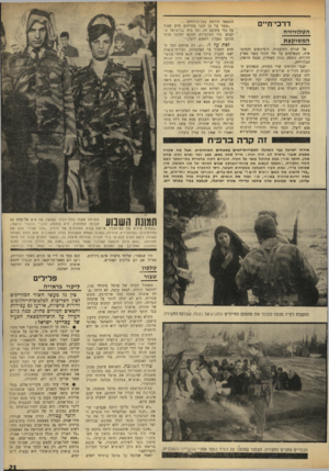 העולם הזה - גליון 1639 - 29 בינואר 1969 - עמוד 21 | זה קדה ברפיח אזרחי ישראל בבר התרגלו לתקריות״דמים בשטחים המוחזקים. אגל מה שקרה בשבוע שעבד ברפיח לא היה רגיל: חייל פתח באש, פצע עשר נשים והרג אחת מהן.
