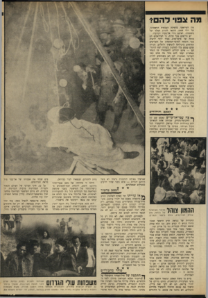 העולם הזה - גליון 1640 - 5 בפברואר 1969 - עמוד 15 | בתקופתו אף הוענקו דרכונים ליהודים שביקשו אותם — אם בי יהודי יכול היה לעזוב את עיראק לתקופה של שלושה חודשים בלבד. לא שב כתום תקופה זו — פקעה אזרחותו העיראקית