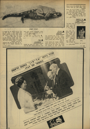 העולם הזה - גליון 1647 - 26 במרץ 1969 - עמוד 7 | כך הוכיח הנסיון. והמסקנה היא שרעיון הקמת מדינה פלסטינית בשטחים המשוחררים הוא חלום מתוק, שאין לו שום אחיזה במציאות — לכן לעולם לא יוכל להתגשם.