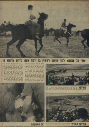 העולם הזה - גליון 1652 - 30 באפריל 1969 - עמוד 16 | אוו׳ על הסוס: לטי הזינוק למיווץ בו זרקה אוהו סייחה אווגה זו בסייחר של אודי. הוא האיץ באודי להצטרף למירוץ. רק אז, כששאר הרוכבים היו כבר במרחק של 50 מטר לפניו,