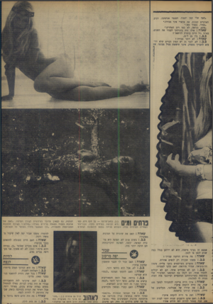 העולם הזה - גליון 1652 - 30 באפריל 1969 - עמוד 20 | ״האף שלי קטן יחמוד. הסנטר אגרסיבי, רבוע. האוזניים קטנות. את צווארי איני מכירה.׳ ״בסדר, נעצור כאן.״ ״אתם, כנראה, לא כמו רוב האחרים.״ שאלה: אילו היה ביכולתך