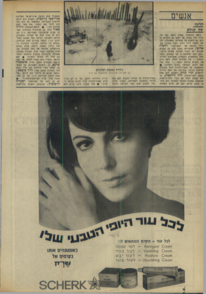 העולם הזה - גליון 1656 - 28 במאי 1969 - עמוד 26 | אך ישנם גם מיקרים בו הוא בא לחפות על מחדלים. באשקלון, למשל. כשפנו דיירי רחוב רקפת בשיכון אפ־רידר בבקשה אל ראש־העיר רחביה אדיבי, שהעירייה תתקן חלק מן הכביש