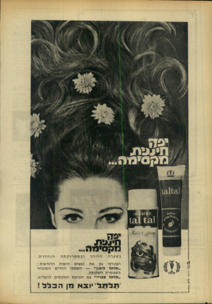 העולם הזה - גליון 1657 - 4 ביוני 1969 - עמוד 8 | יפק נ 1נן 0ינז בשערה הזוהר ובתסרוקתה הנהדרת. הצטרפי גם א ת לנשים הי פו ת הדור שות : ״תלתל לימון ה שמפו החדי ש ה מובחר בשפופרת ה שקופה. ״תלתל ספריי״ עם הבושם