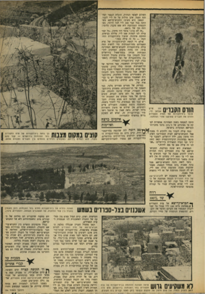 העולם הזה - גליון 1658 - 11 ביוני 1969 - עמוד 11 | חיים זהו אצלאן לוי, שומר בית־הקברות של העדה הספרדית והורס את הקברים ששופצו אחרי המלחמה. … בית־הקברות הספרדי חשוף כולו לשמש. אבל כהבדל התהומי ניתן להבחין רק