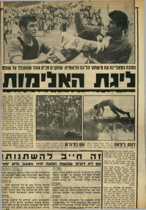 העולם הזה - גליון 1660 - 25 ביוני 1969 - עמוד 23 | לא תהיה שמירה כמיגרש -לא יקויים מישחק. ההתאחדות לכדורגל תכריז על מתן פרם כפפי גכוה לאגודה אשר משורותיה יוצא מיספר השחקנים הנמוך כיותר, ושאוהדיה גילו התנהגות