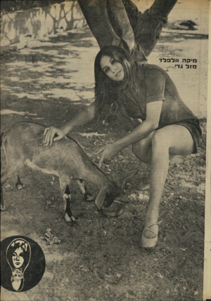 העולם הזה - גליון 1671 - 10 בספטמבר 1969 - עמוד 31 |