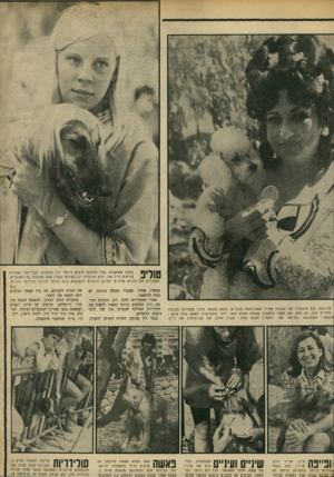 העולם הזה - גליון 1675 - 8 באוקטובר 1969 - עמוד 21 | האפגניים הס כלבים מהירים וקלים, ונוהגים להשתמש בהם ככלבי סירוץ במירוצי כלבים. שעברו נתגלה ברבים, לא חביבתה ובת טיפוחיה של הגברת מאייר המפורסמת מבת־ים. זכתה