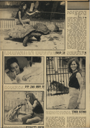העולם הזה - גליון 1677 - 22 באוקטובר 1969 - עמוד 35 | בימיה במקצועות גבריים כמו חיתוך אבנים, מוזגת בבאר, ושאר דברים משונים. רק דבר אחד נשאר אצלה יציב לאורך כל השנים — אהבתה לחיות. פ ני ארבעה חודשים, כשחזרה אר־ /צה