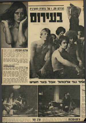 העולם הזה - גליון 1681 - 19 בנובמבר 1969 - עמוד 19 | התנהגותה הגלוייה הפריעה לחברי הקומונה לא מעט, בהתחלה. הם ניסו לשכנע אותה לחדול מהתנהגותה האיג־דיוויאליססית. אושי מחתה על שטיפת־המוח הזו.