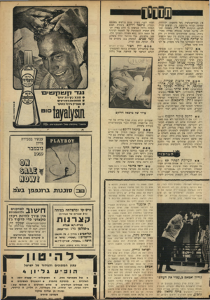 העולם הזה - גליון 1684 - 10 בדצמבר 1969 - עמוד 41 | שססס! האחד לשני, כשרק שנים בולטים משכמם ומעלה: מיכאל דרוקם ביצירת הפופ הטובה ביותר שנראתה עד היום בארץ ושהיא תמצית האמביציה של המעמד הבינוני של המאה ה־( 20 כסא