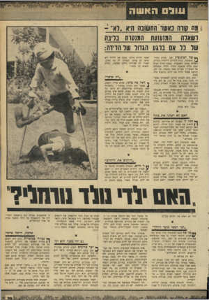 העולם הזה - גליון 1687 - 31 בדצמבר 1969 - עמוד 31 | עוול האשה רשאדה המזעזעת המנסרת בריבה שר נר אם ברגע הגדור שדהריוה: ץ ץ שה רכינוכיץ ישב מתוח בחדר־ההמתנה, בבית־החולים ליולדות בקריה, כשהוא. מעשן בעצבנות. בפעם