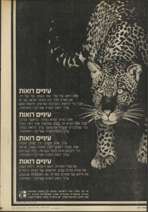 העולם הזה - גליון 1689 - 14 בינואר 1970 - עמוד 17 | אתה רואה עיני נמר־ נמר בעתון. נמר של ניר. אם תטרח ותלך לגן החיות-תראה נמר חי אבל כדי לראותו בסביבתו הפראית. לראותו ממש עליך לטוס למזרח אפריקה־לאתיופיה. אחה