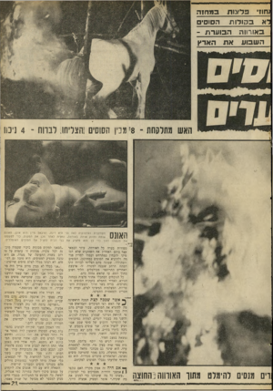 העולם הזה - גליון 1689 - 14 בינואר 1970 - עמוד 20 | ?חוו 3ד?נות ב מ חז ה דא ב הו רו ת הסוס באורווה ה בו ערת ־ ה שבו עאת הארץ האש מתלקחת ־ *8מכין הששים!הצליחו, לברוח ־ 4ניכוו ךוון 1ק השחקנית האיטלקית לאה נני היא