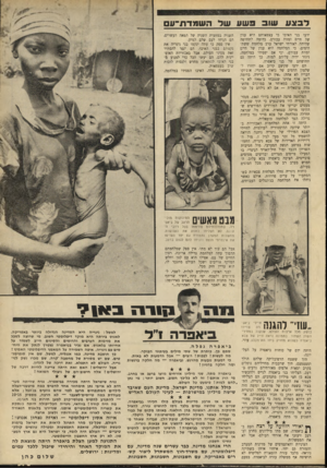 העולם הזה - גליון 1689 - 14 בינואר 1970 - עמוד 26 | נניח שישראל הי ת ה מכירה בביאפרה. נניח שהיתה מעו דדת לא אייבי נתן תימהוני אחד ל ה טי ס כמ ה מיטעני-הצלה לילדים ה מ תנפ חי ם מרעב לפני שהם גוועים בג׳ונגל ; אלא