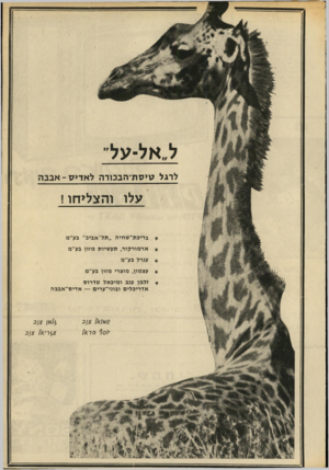 העולם הזה - גליון 1689 - 14 בינואר 1970 - עמוד 34 | ל״אל-על״ לרגל גויסת־הבכורה לאדיס-אבבה עלו והצליחו ! בריכ ת־ ש חי ה ״ תל־ אביב״ בע״מ א ר מו ר קו ר, תעשיות מזון בע״מ ענרל בע״מ עצמון, מוצרי מזון בע״מ זלמן ענב ו