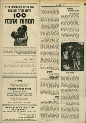 העולם הזה - גליון 1690 - 21 בינואר 1970 - עמוד 29 | שתבינו בדיוק למה אני מתכוון אז: הייתי עם ליז במכסיקו, אצל חברים• אני שתיתי, וליז ישבר, בחדר השני עם שתי לסביות מכסיקניות. הלסביות התנפלו עליה וליז צעקה,