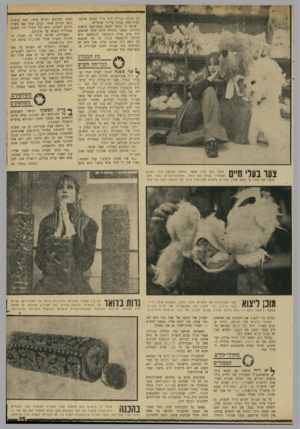 העולם הזה - גליון 1693 - 11 בפברואר 1970 - עמוד 25 | באותו רגע נשמע קול גירוד בדלת, ומי ניכנס אם לא אוסבע, כשבפיה סוליית החשיש, אותה חפרה מהמחבוא ולקחה לטיול קצר. מחללי־קודש, הממזרים ך יא דיה מישהו בא למכס בימי