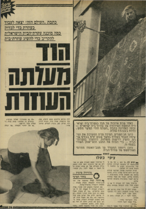 העולם הזה - גליון 1699 - 25 במרץ 1970 - עמוד 31 | כתבת ״העולם הזה״ יצאה לעבוד כעוזרת כדי לבדו? כמה מובנה עלרת־הבית הישראלית להלריב׳י בדי להשיג עוזרת־בית העזתה חש 1ו ת ראוור שגיב ארומת שר כבר כע\ 2ר\ז־בית