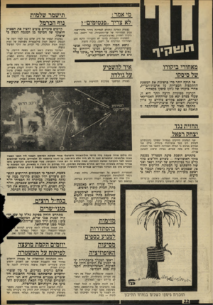 העולם הזה - גליון 1702 - 15 באפריל 1970 - עמוד 24 | דרך אחת היא באמצעות יועציה הקרובים במיוחד, ובראשם השר ישראל גלילי. דרך שנייה היא פאמצעות כתה, חפרת קיפוץ רכיכים.