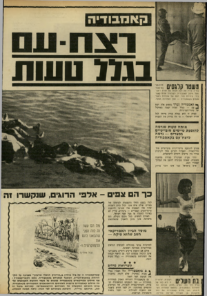 העולם הזה - גליון 1705 - 6 במאי 1970 - עמוד 6 | שהבאנו להם את הדמוקרטיה (ביל נזולדין) ^ קוצר־ראות מדהים ץ ם בקאמכודיה החל האסון בגלל בת השליט רקדנית יפהפייה זו היא בתנ של גנרל לון נול, האיש החזק שביצע את