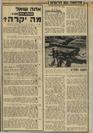 העולם הזה - גליון 1714 - 8 ביולי 1970 - עמוד 19 | יום אחר יום תקפו מטוסי חיל־האויר את המערך החדש, הצליחו לפגוע באופן יסודי ב־ 5סוללות מתוך ה־ 12 שבמערך, פגעו גם מיספר פגיעות בשתי סוללות נוספות. … המערך כולו