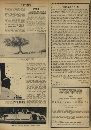 העולם הזה - גליון 1723 - 9 בספטמבר 1970 - עמוד 16 | כמות ענקית זו של מים שתופנה לפיתחת־רפיח, לא תאפשר כל פיתוח חקלאי נוסף של יישובי הנגב הצפוני. לשאלתי מה בקשר לתוספת מים לרצועת עזה — שמקורותיה הכפר המוקם