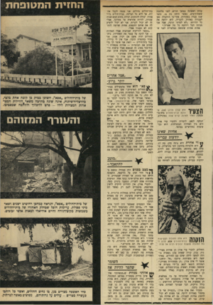 העולם הזה - גליון 1725 - 23 בספטמבר 1970 - עמוד 31 | עזרה ראשונה במשך חודש, לפני מלחמת ששת־הימים, כאשר היתד, בת .16 כחצי שנה עבדה בפקידות.