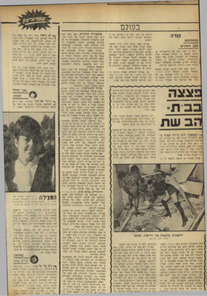 העולם הזה - גליון 1729 - 20 באוקטובר 1970 - עמוד 23 | ״ כעבור חצי שעה הוא הראה לו — הוא חזר עם מסען מלא חומרי נפץ, שכלל בין היתר 20 רימוני־יד. את ניצרתו של אחד הרימונים שיחרר, הטילו על ועילת הרימונים ונעלם.