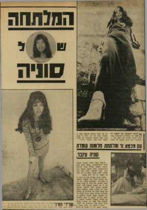 העולם הזה - גליון 1737 - 16 בדצמבר 1970 - עמוד 30 | הסגחרה סונית ך* חודש הופיעה עד המסד ה4י ק טן של הטלוויזייד, הישראלית דמות נשית חדשה. תמירה, יפה ומעל הכל — מיקצועית. למן הרגע הראשון של הופע על המסך הורגש