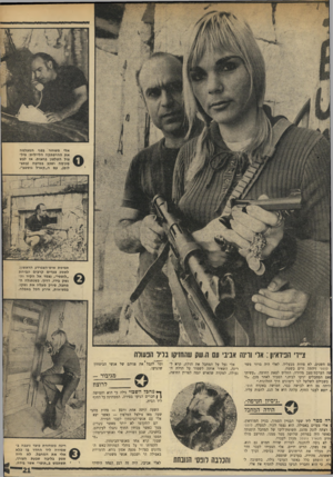 העולם הזה - גליון 1742 - 20 בינואר 1971 - עמוד 21 | ״עשיתי לאס המחבלים יגיעו לבית,״ הסביר לאחר מכן ,״זו בשבילם לשלשל לנו רימונים דרך החלונות.״ היתה גם היא לבושה כבר, חמושה באקדח תופי. 1יוצא לעבר החוף, עלתה היא