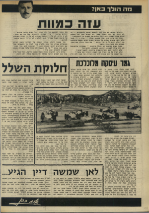 העולם הזה - גליון 1743 - 27 בינואר 1971 - עמוד 14 | הוא עיכב למשך ארבעה שבועות את התשלום לקרן המיפלגתית של המפד״ל. אבל ברור שלא עלה בדעתו לעצור לגמרי את המיפעל הקונסטרוקטיבי הגדול. אחרי הכן, עם המירוץ לא נגמרו