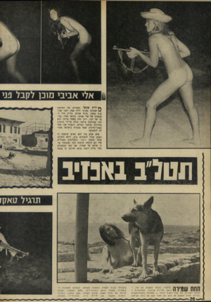 העולם הזה - גליון 1745 - 10 בפברואר 1971 - עמוד 20 | אלי אביבי מוכן לקבל פני ך ץ ירת אנשי הצפרדע של רפידאין ^ שנחתה באותו לילה אפל, לפני שבועות מספר, בחוף אכזיב, בדיוק מול האכסניה של אלי אביבי, הביאה לאלי, בסופו
