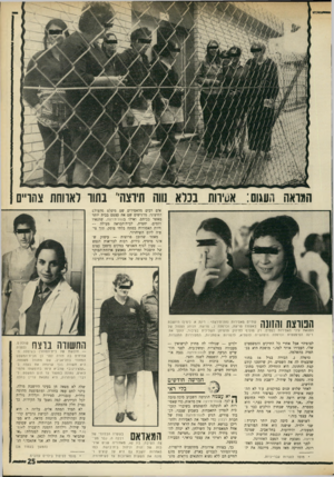 העולם הזה - גליון 1750 - 17 במרץ 1971 - עמוד 25 | בתי־הסוהר לגברים בארץ, שברבים מהם החיים הם ללא נשוא והתנאים נוראים, מוצ בשערה הבלונדי של 1ד 111 רבקה ה. נבר מצי1 ^ 13011 צה השיבה. בת ,42 מאחוריה שניס ארובות