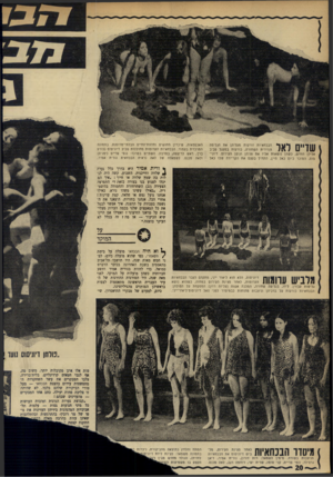 העולם הזה - גליון 1752 - 31 במרץ 1971 - עמוד 20 | הבכחאיות זורקות מעליהן את הגלימה הנזירית השחורה, כורעות במעגל סביב אלילן החדש, כשהן נושאות אליו את פניהן וגופן העירוס. דיוני־סוס, המוכר כיום כאל היין, התחיל