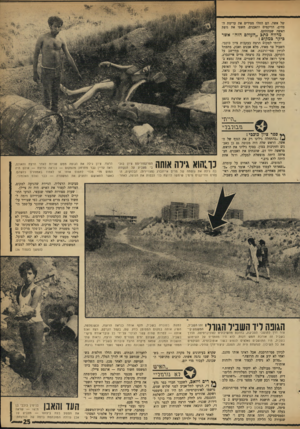 העולם הזה - גליון 1757 - 5 במאי 1971 - עמוד 25 | של אשה. הם החלו מסירים את ערימת הפחים, הדיקטים והאבנים, חשפו את גופת האשד, שמתחתם. מדווח כתב ״העולם הזה״ אשר כיקר כמקום: ירדתי למקום הרצח בעקבות ציון כוכבי.