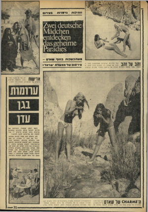 העולם הזה - גליון 1761 - 2 ביוני 1971 - עמוד 31 | אדישות רק גמל או בדווית מסוגלים להישאר אדישים ליופיין של הגרמניות, בפוזה ליד המאהל. 1גן עדו האס ייתבן שמשרד התיירות של מדינת ישראל צילם התיבות גרמניות ערומות