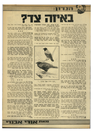 העולם הזה - גליון 1764 - 23 ביוני 1971 - עמוד 13 | הוא היה צעיר כאשר פרצה מלחמת־האזרחים בספרד. כמו צעירים רבים אחרים, ברחבי העולם החופשי, חש חובה אישית להתגייס וללחום למען החופש באותה ארץ מעונה, אשר קלגסי היטלר
