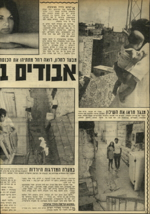 העולם הזה - גליון 1767 - 13 ביולי 1971 - עמוד 21 | ** הכתם נולדה באוטובוס. שלמה עבד ככרטיסן. רחל עבדה כמטפלת בילדים במעון ויצ״ו בבית־הכרם. יום יום, באותן השעות, הוא היה רואה אותה נדחקת בין הנוסעים המצטופפים,