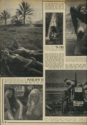 העולם הזה - גליון 1779 - 6 באוקטובר 1971 - עמוד 19 | בשמש ולריצה בשדות. כמו צבריות רבות, באות ציפי ואידה כל שנה לקיבוץ תל־יוסף בעמק ישראל (הכוננה לעמק יזרעאל) שבגליל. כאן החיים הם פשוטים, זהים לגמרי לאלה של