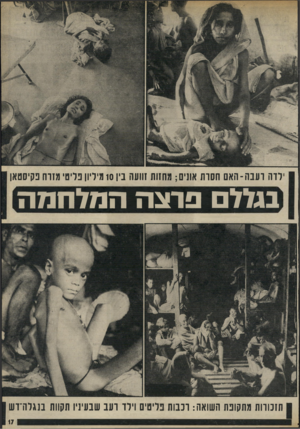 העולם הזה - גליון 1788 - 8 בדצמבר 1971 - עמוד 17 | ילדה וענה-האם תסות אונים; מחזות זוועה נין 10 טיליון פליט׳ תזוח פקיסטאן בגלל פרצההמלחמה תזכורות מתקופת השואה: רבבות פליטים וירד רעב שבע תקוות