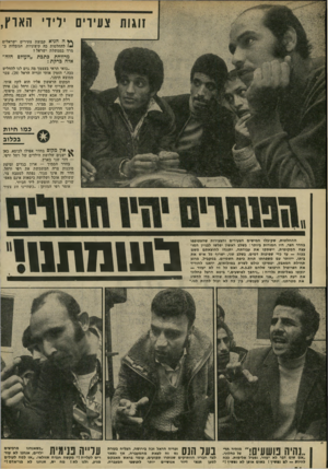העולם הזה - גליון 1793 - 12 בינואר 1972 - עמוד 24 | ילידי הארץ, ץ* ח הניא קבוצת צעירים ישראלים !4להחלטות כד. קיצוניות, חגוכלות במרד בממשלת ישראל 1 מדווחת כתבת ״העולם הזח״ אלה ברקת: ״בואי תראי בעצמך מה גרם לנו