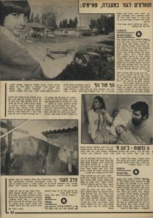 העולם הזה - גליון 1793 - 12 בינואר 1972 - עמוד 25 | הנאלצים לגור במעברה, בלי ילדים, ראינו בצריף הזח התחלה לחיים משותפים. היינו אופטימיים. במו עצה אמרו כי במשך הזמן יקימו לגו שיכון לזוגות צעירים. האמנו להם, כמו
