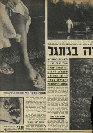 העולם הזה - גליון 1797 - 9 בפברואר 1972 - עמוד 22 | ״אני מפחדת שמשהו יקרה,״ לחשה אמה של יוליאנה. באותו רגע, קפא דמה של יוליאנה בעורקיה. מבעד לחלון, ראתה כיצד מתחילה הכנף הימנית לבעור.