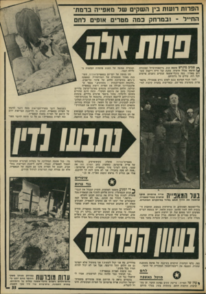 העולם הזה - גליון 1797 - 9 בפברואר 1972 - עמוד 36 | הפרות ר 1ע 1ת בין ה שקים של ג זאפי יה ברמת־החייל ־ ובמרחק כמרי מטרינ[ א 1פי לחם ץ* סכיב מיגרש אשפה ענק, גרוטאות־ברזל ומכוניות שיצאו מכלל שימוש. צחנת זבל וריח