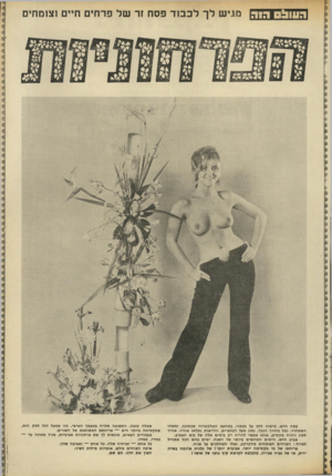 העולם הזה - גליון 1804 - 28 במרץ 1972 - עמוד 17 | הסול הוה מגיש לך לכבוד פסח זר של פרחים ח״ם וצומחים פסח חדש. מישהו לחץ על כפתור, במחשב האלקטרוני שבתוכך, ומשהו השתחרר. נטל בחורף הכבד, נמוג מעל הכתפיים, והריאות