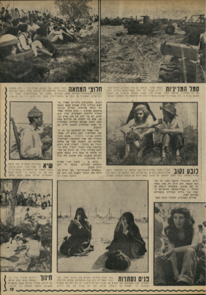 העולם הזה - גליון 1805 - 4 באפריל 1972 - עמוד 19 | | 1 *1 ¥ו ! 1 1ר 1בשטח הסגור, שנחסס גם בפני החוחים, חונים הבול־ 1 1 1 1 1 / 4 1 1דוזרים בשבת. הם יישרו שטחי־אדמה גדולים, הרסו 1 /4 1 1 את כל המיבנים עליהם,