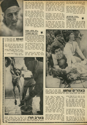 העולם הזה - גליון 1805 - 4 באפריל 1972 - עמוד 39 | אומר שנותנים קנס של 600 לירות למי שישחט בחצרות. אפילו לבית־סוהר יכולים לשלוח.״ משתררת דומייה מעיקה .״קחו תאכלו בינתיים מצות, אולי תבוא לכם מזה איזה מחשבה
