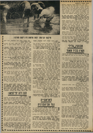 העולם הזה - גליון 1809 - 3 במאי 1972 - עמוד 15 | מדבריהם של דוברי הממשלה נסתבר שבעיניהם אין זה אלא המי4ך ישיר ומובן־מאליו של מיפעל ההתיישבות הציונית, מאז ועד היום. בראש הדוברים עמד ישראל גלילי, איש הקיבוץ